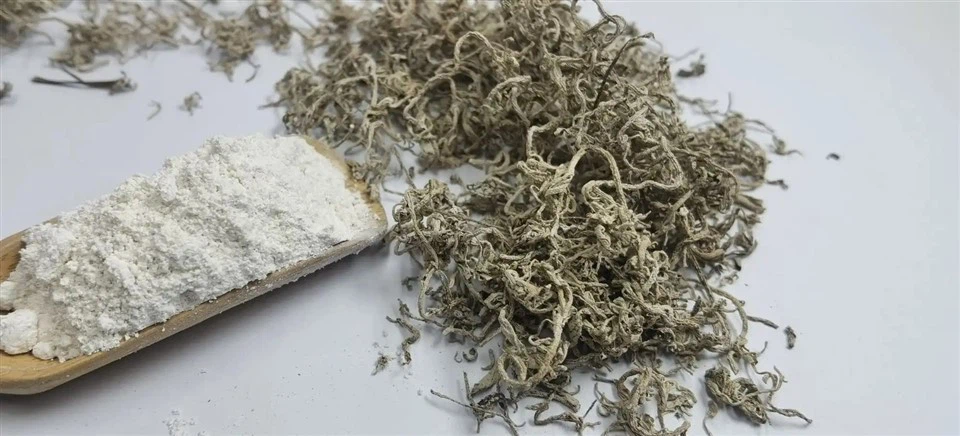 Dihydromyricetin Powder best