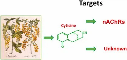 Cytisine Powder Cytisine Powder