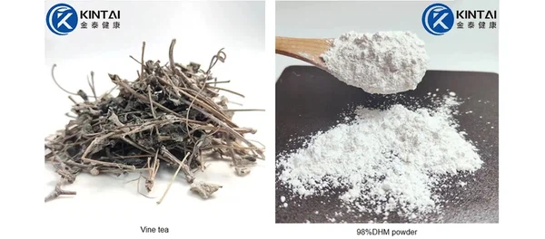 20260327135132134 20260327135132134